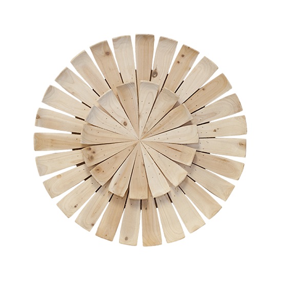 Wood Spoke
