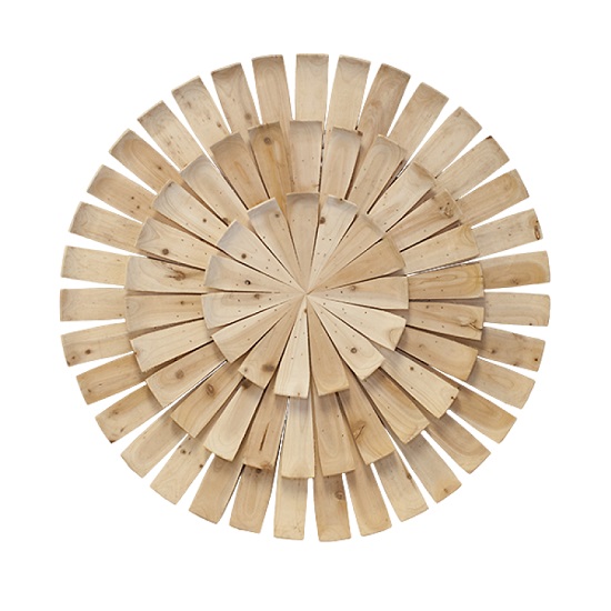 Wood Spoke