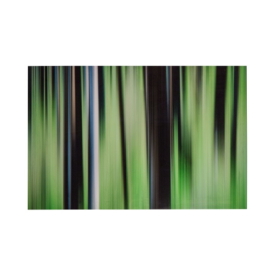 Burn In Spring