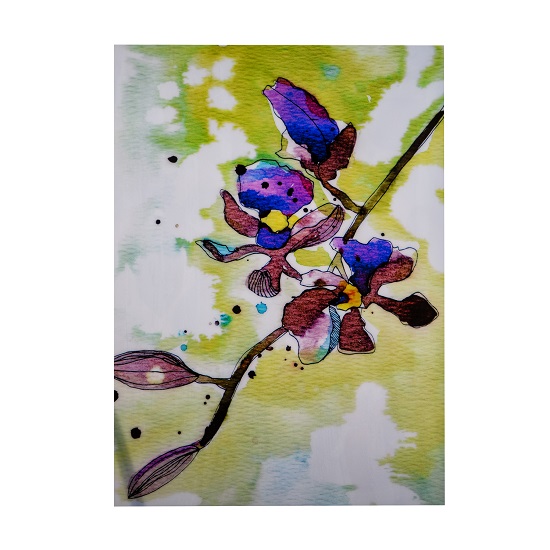 Purple Orchids