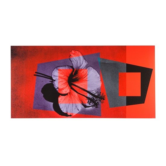 Retro Hibiscus