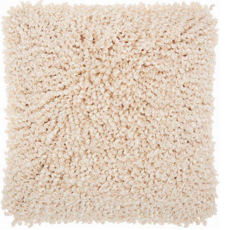 Fluffed Shag Pillow