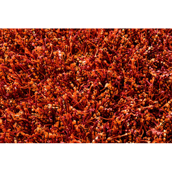 Sprinkle Rug