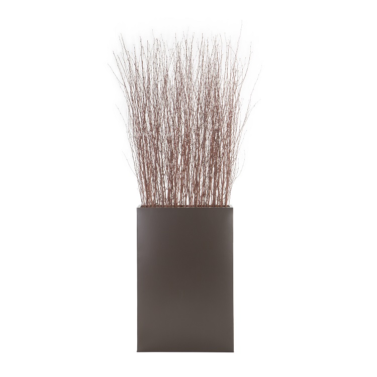 Floor Accent Birch Twigs Plant