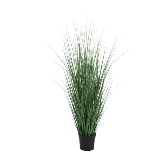 Blue Stem Grass