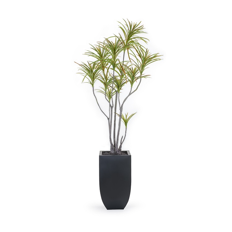 Dracaena Marginata Artificial Plant