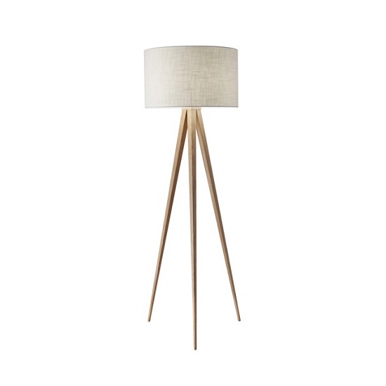 Director Lamp