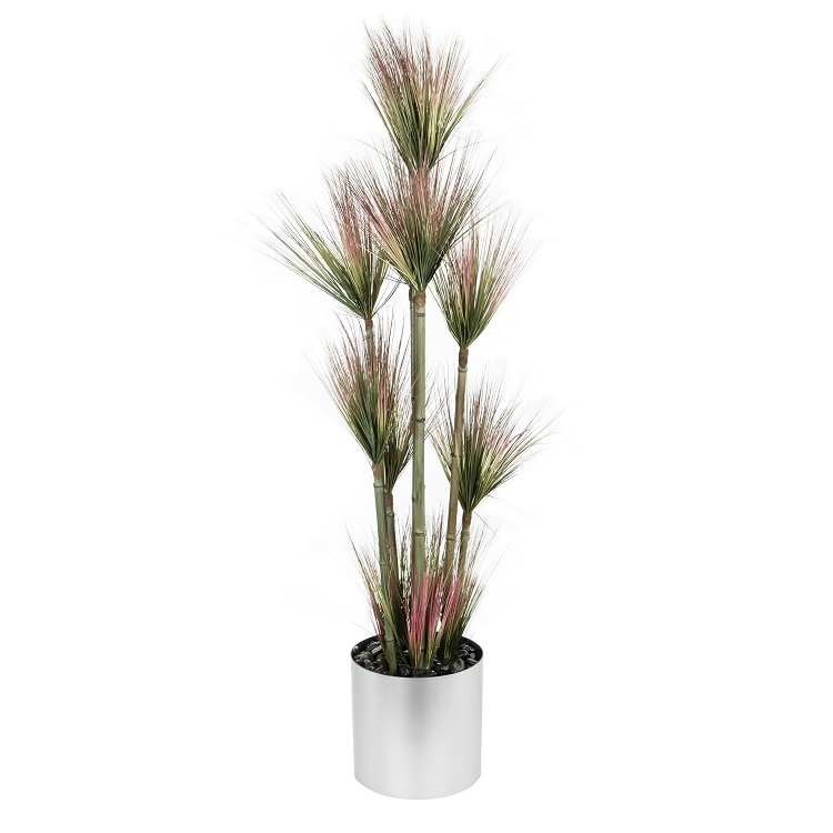 Red and Green Grass Tree