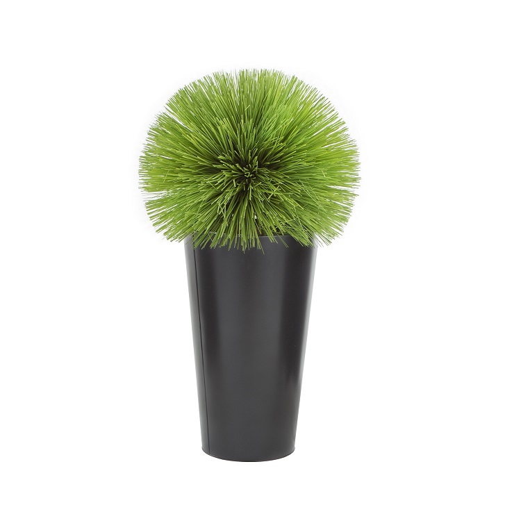 Grass Ball Floor Plant
