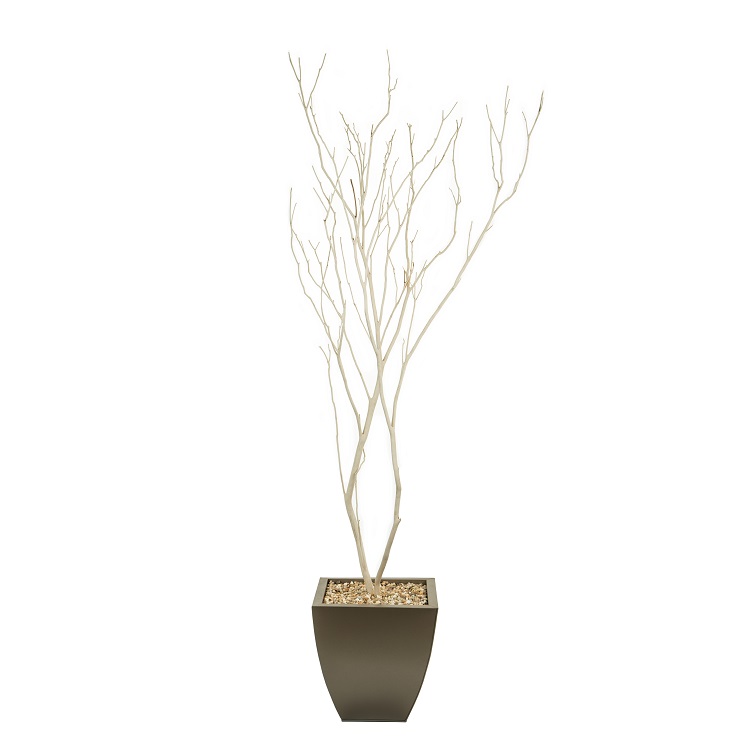 Sand Blasted Tree