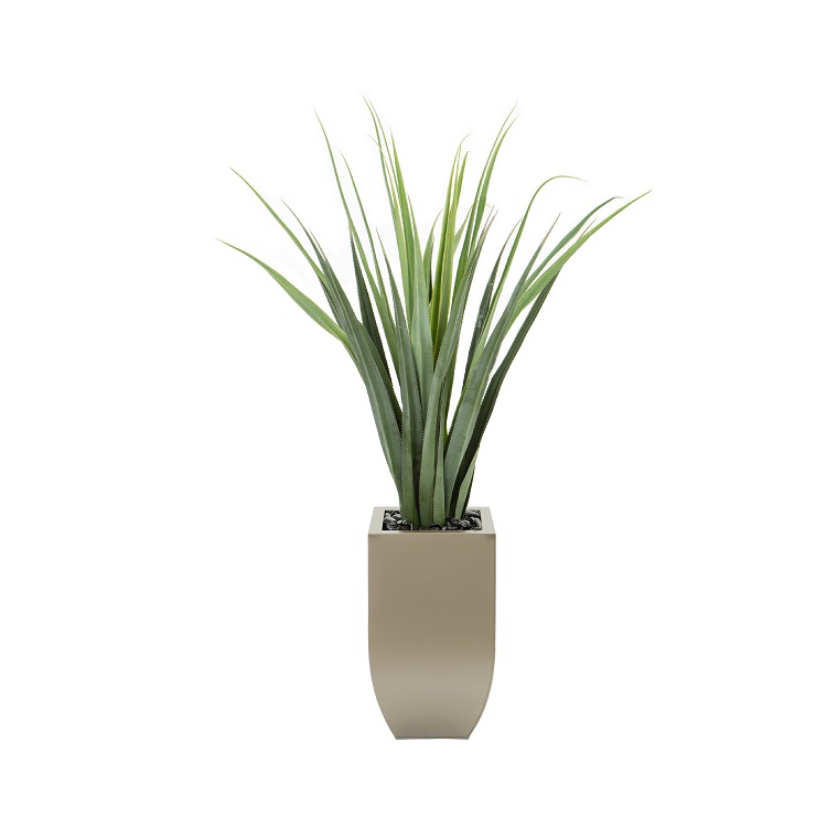 Giant Aloe Floor Plant