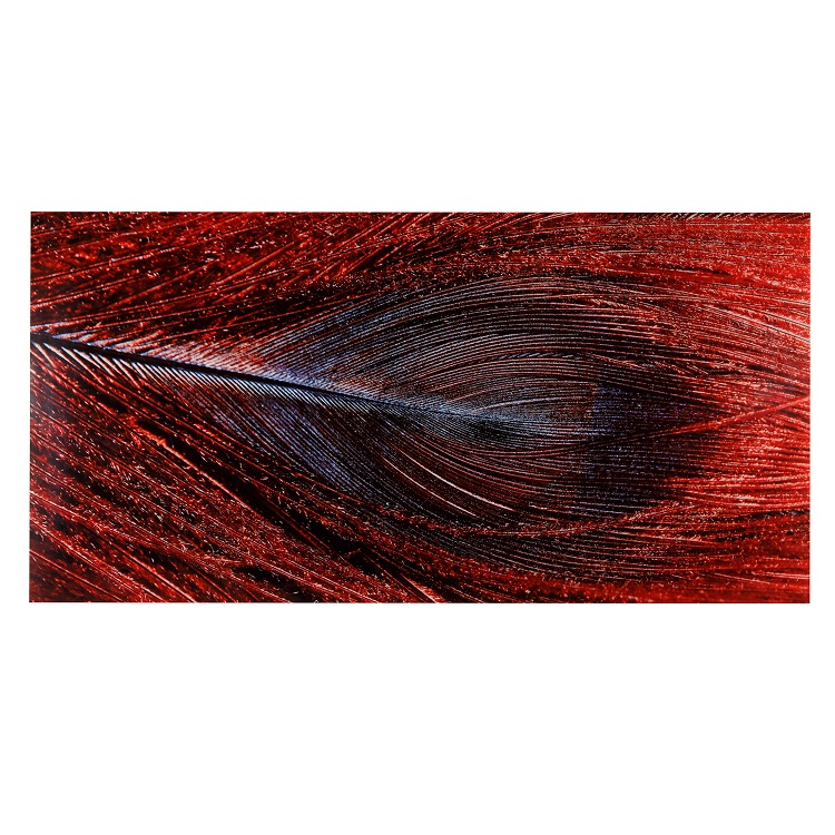 Red Feather Print