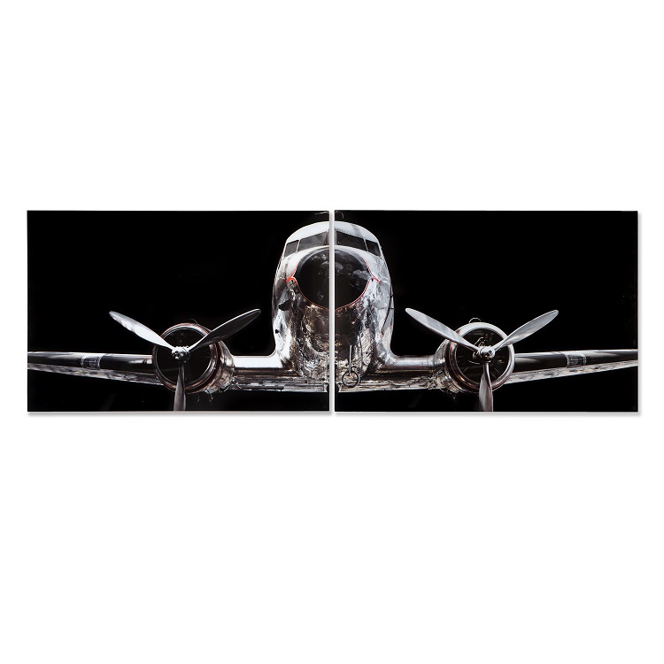 Plane Print