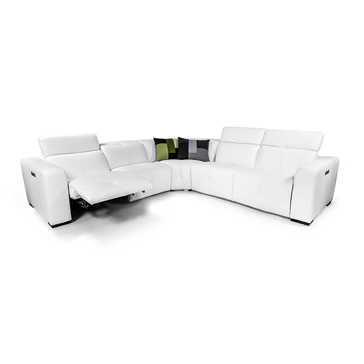 Franklin shop leather sectional