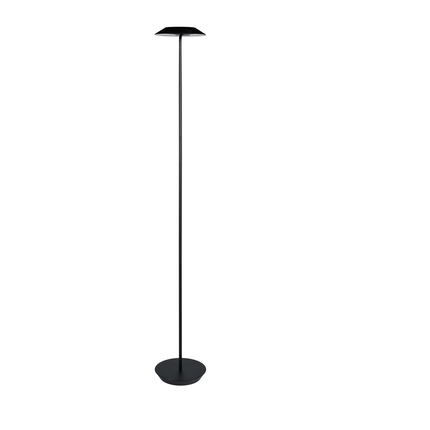 Royyo Floor Lamp